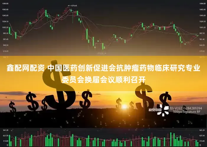 鑫配网配资 中国医药创新促进会抗肿瘤药物临床研究专业委员会换届会议顺利召开