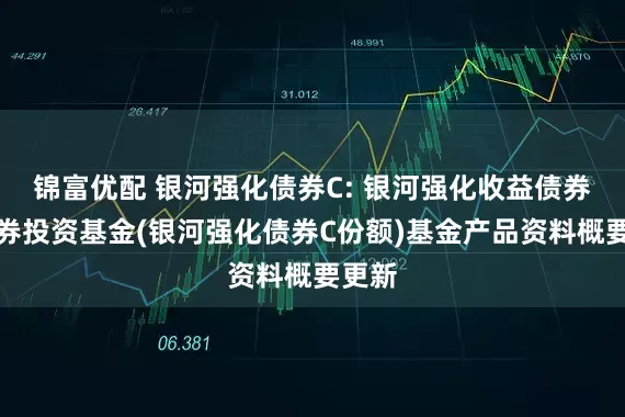 锦富优配 银河强化债券C: 银河强化收益债券型证券投资基金(银河强化债券C份额)基金产品资料概要更新